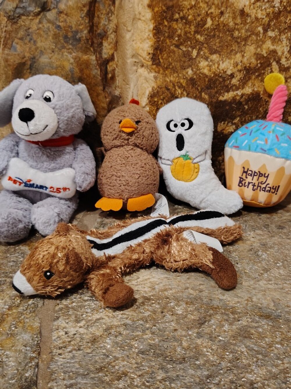Bundle Lot of 5 Dog Toys Plush Frisco Happy Birthday Ghost Petsmart 25th